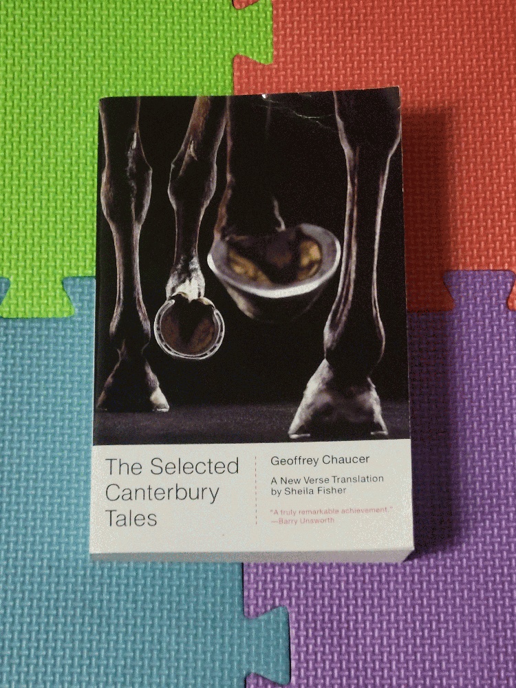 Image for The Selected Canterbury Tales: A New Verse Translation