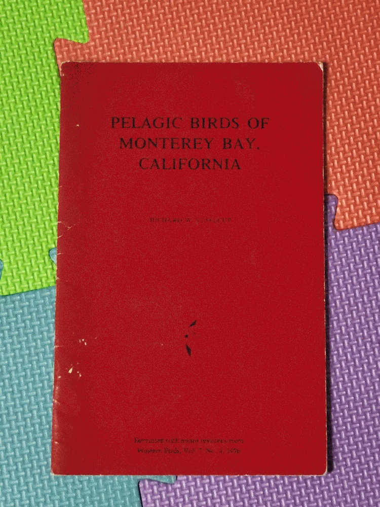 Image for Pelagic Birds of Monterey Bay, California