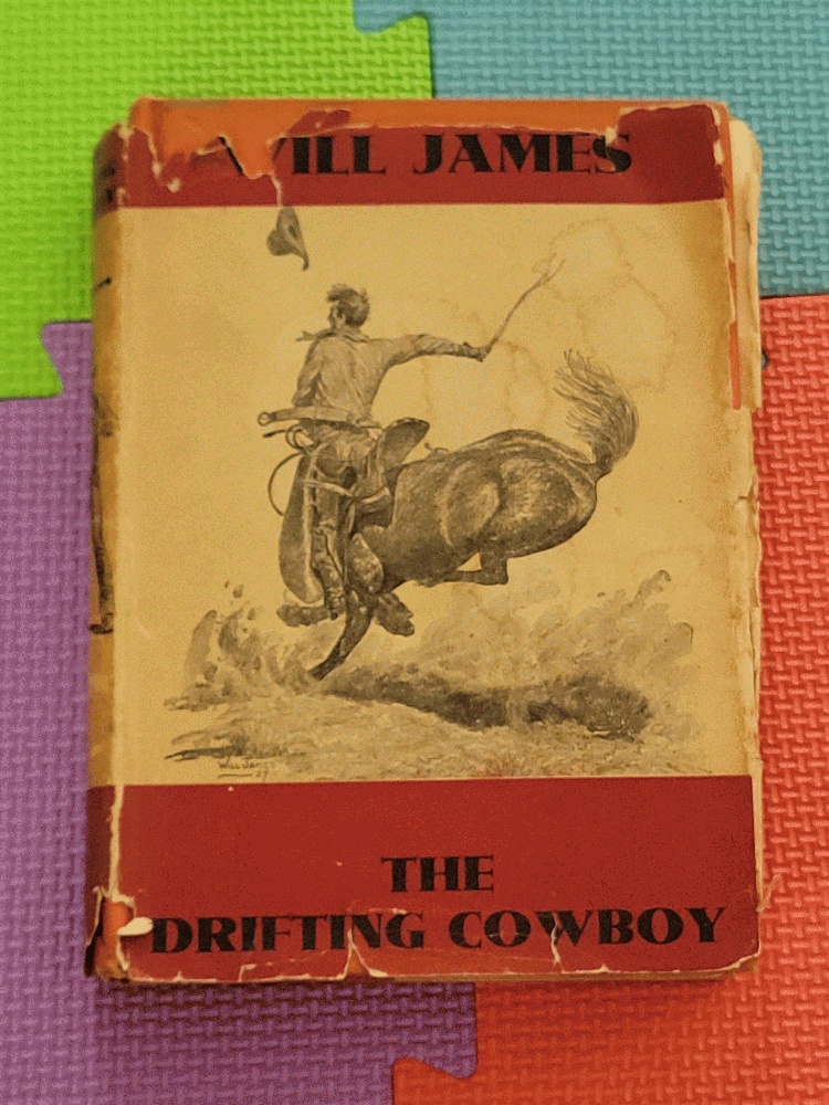 Image for The Drifting Cowboy