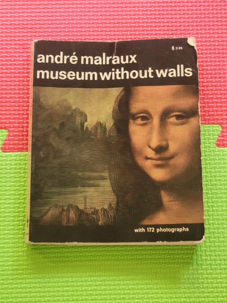 Image for Museum Without Walls