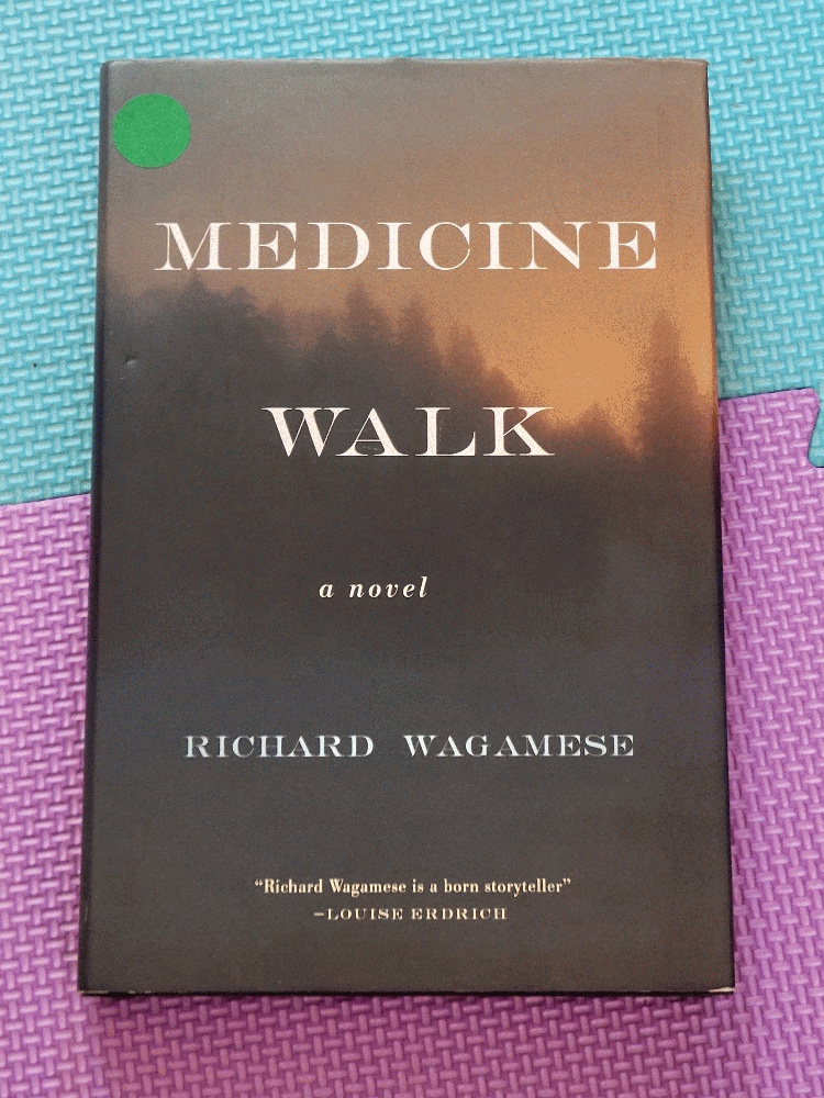 Image for Medicine Walk