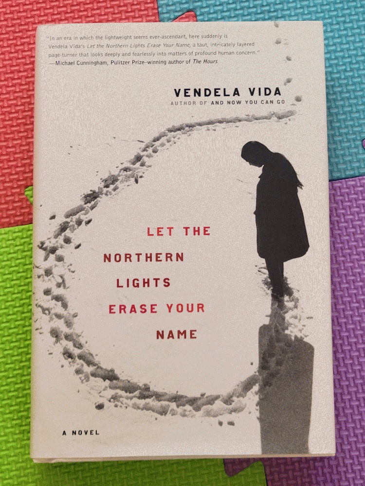 Image for Let the Northern Lights Erase Your Name: A Novel