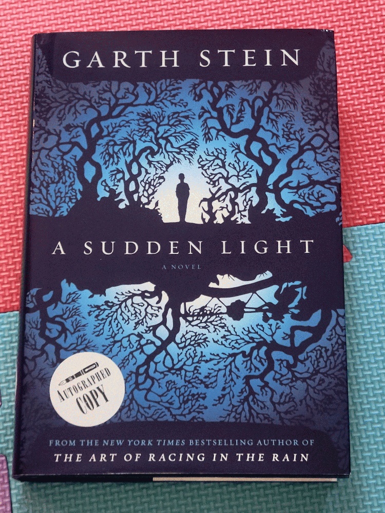 Image for A Sudden Light: A Novel