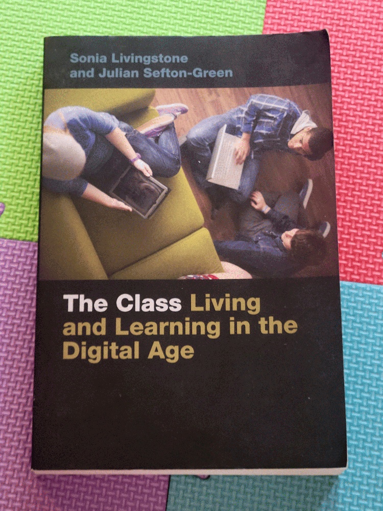 Image for The Class: Living and Learning in the Digital Age (Connected Youth and Digital Futures, 1)
