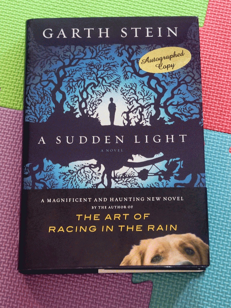 Image for A Sudden Light: A Novel