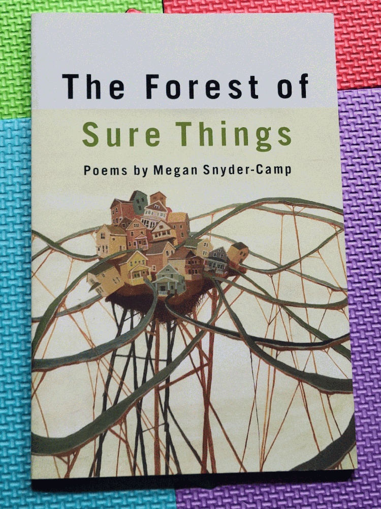 Image for The Forest of Sure Things