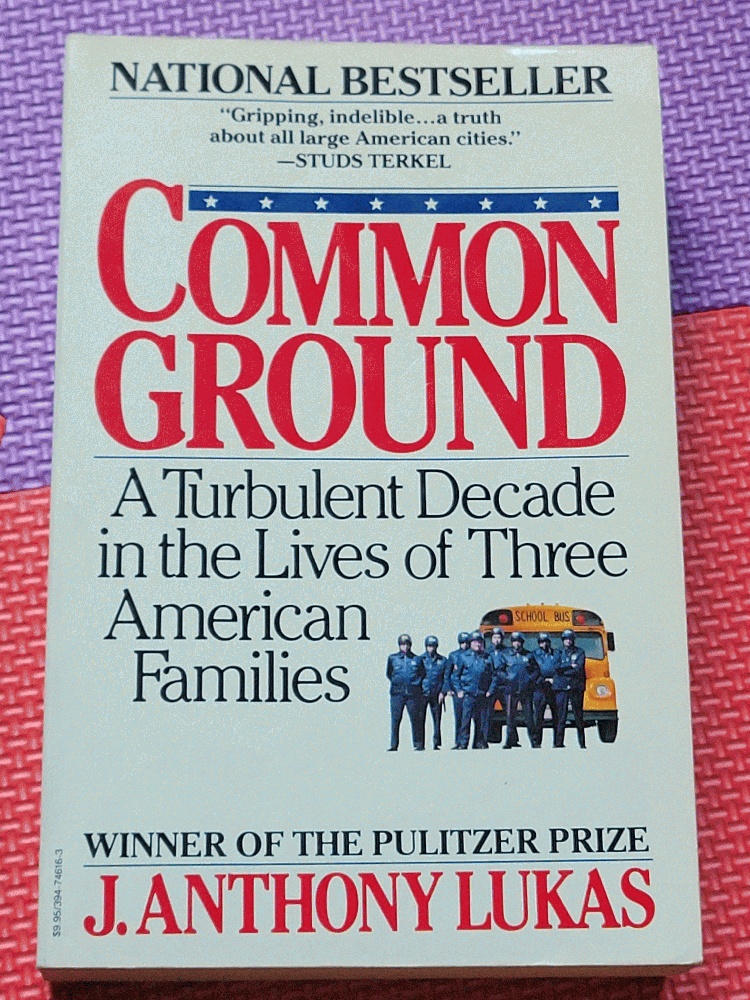 Image for Common Ground: A Turbulent Decade in the Lives of Three American Families