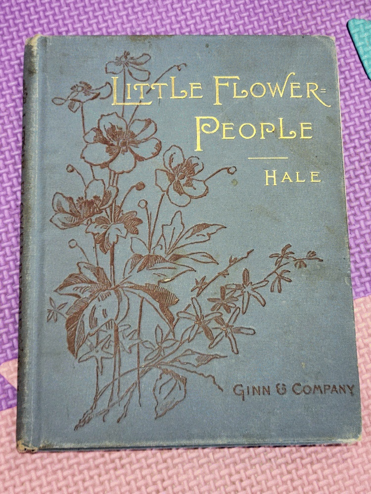 Image for Little Flower People