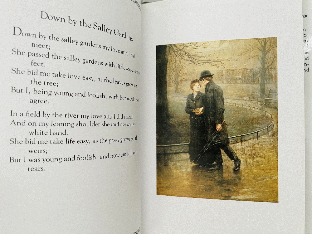 The Illustrated Poets: William Butler Yeats The Last Romantic 2006 HC/DJ - Imagen 3 de 4