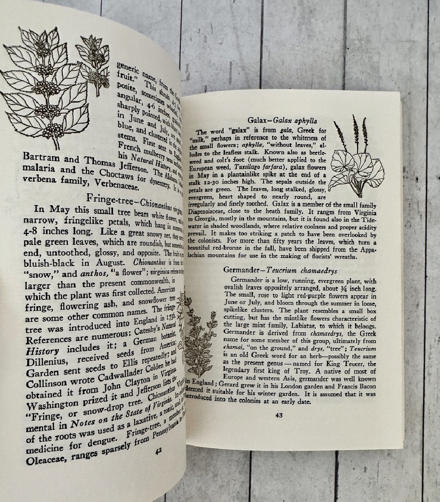 Plants of Colonial Days: A Guide to One Hundred & Sixty Flowers, Shrubs, and Tre - Picture 5 of 7