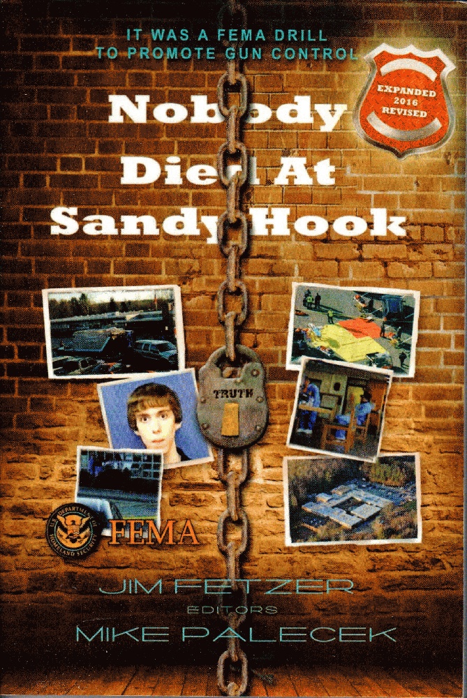Image for Nobody Died at Sandy Hook (COLOR VERSION)