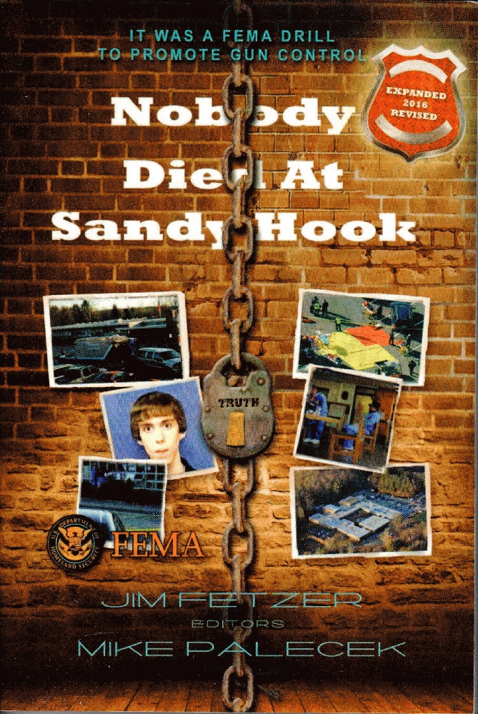 Image for Nobody Died at Sandy Hook (COLOR VERSION)