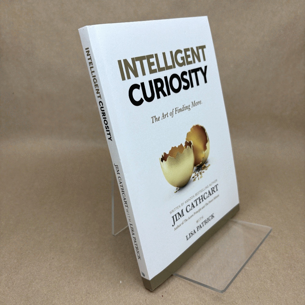 Intelligent Curiosity: The Art of Finding More