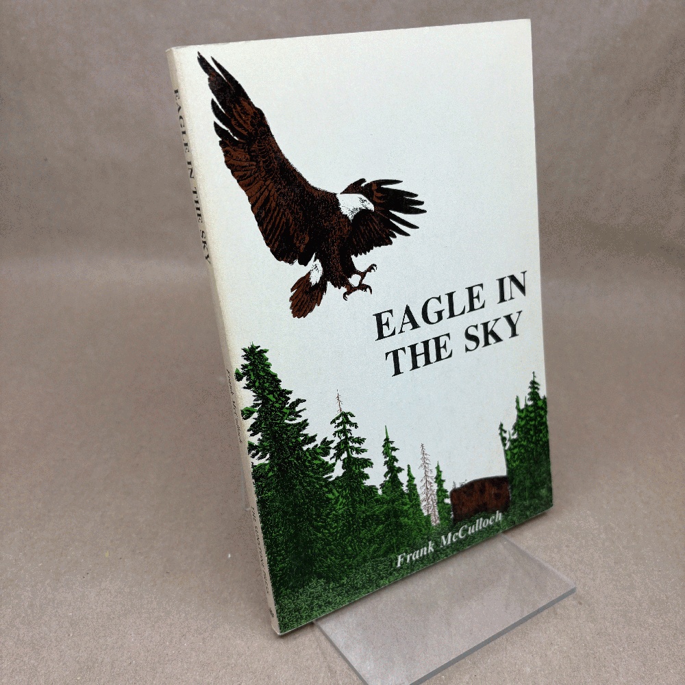 Eagle In The Sky
