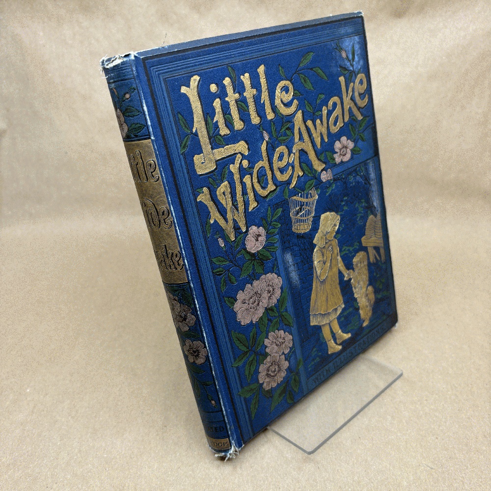 Little Wide-Awake 1876 Leather Bound