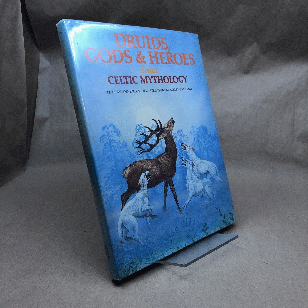 Druids, Gods and Heroes from Celtic Mythology (World Mythologies)