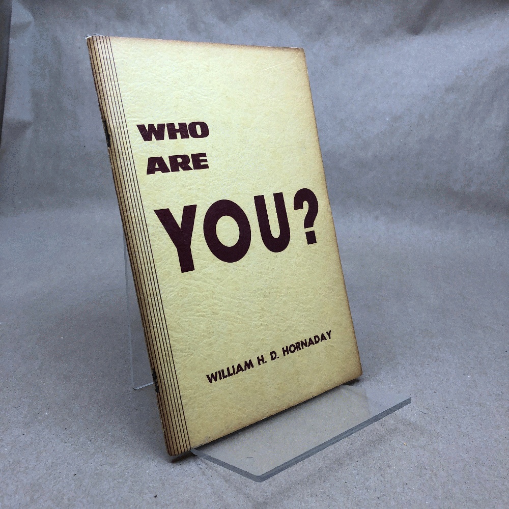 Image for Who Are You Who Are You