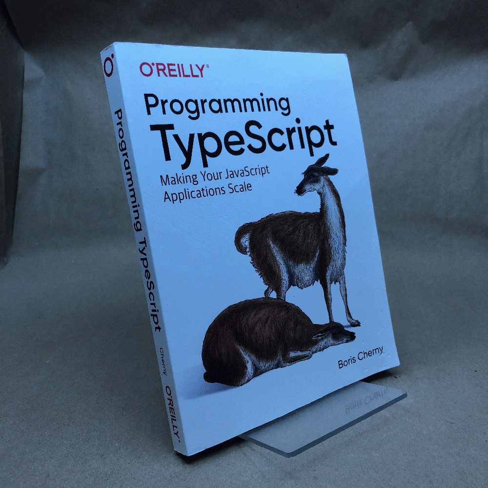 Programming TypeScript: Making Your JavaScript Applications Scale