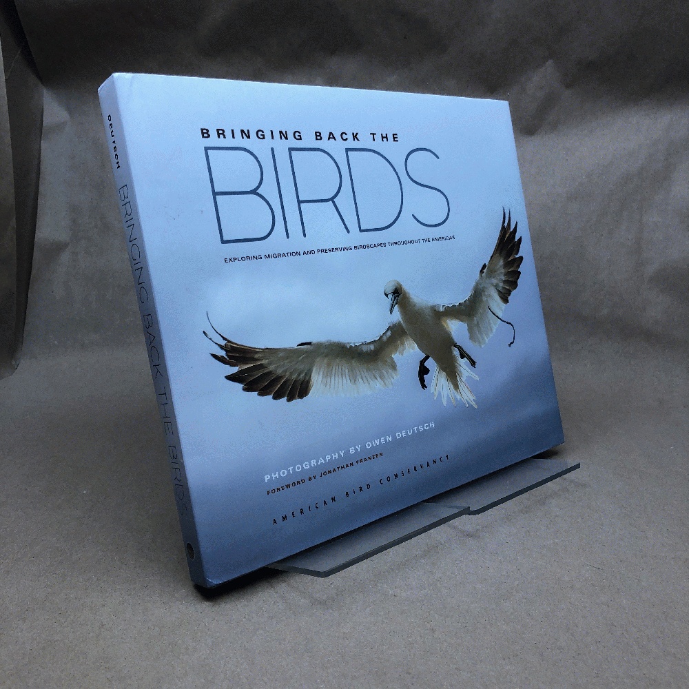 Bringing Back the Birds: Exploring Migration and Preserving Birdscapes throughout the Americas