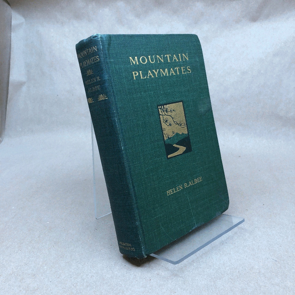 Mountain Playmates by Helen R. Albee (1900, First Edition)