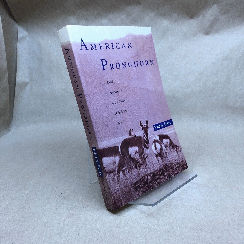 Image for American Pronghorn: Social Adaptations & the Ghosts of Predators Past American Pronghorn: Social Adaptations & the Ghosts of Predators Past