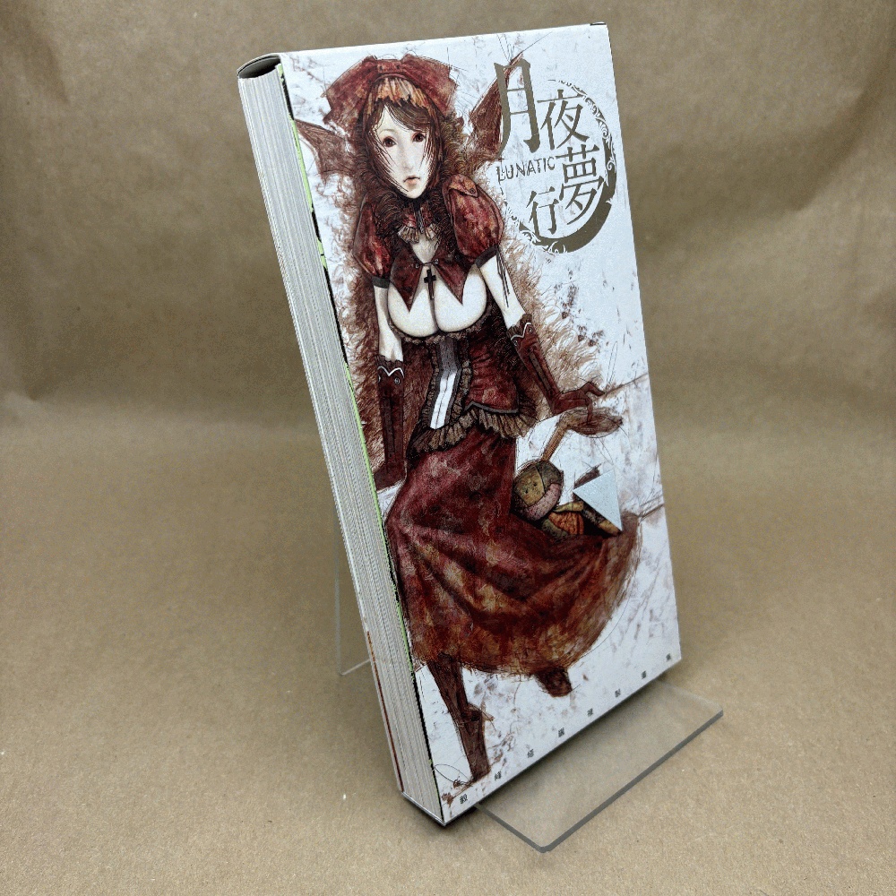 Lunatic Tarot (Portfolio Edition)