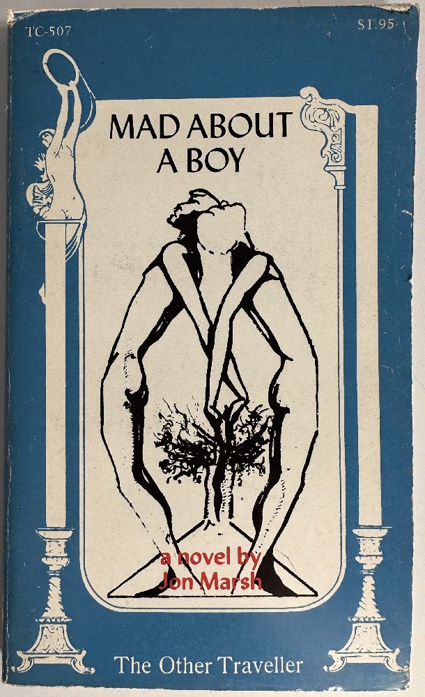 Image for Mad About a Boy, A Novel by Jon Marsh Mad About a Boy, A Novel by Jon Marsh