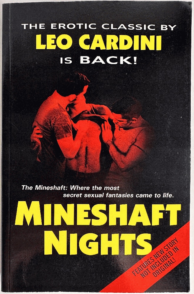 Mineshaft Nights by Leo Cardini