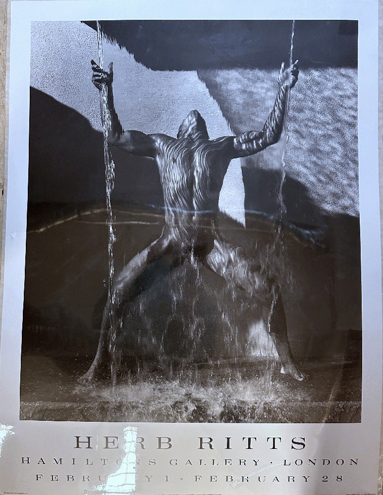 Waterfall II Poster by Herb Ritts, Hamiltons Gallery
