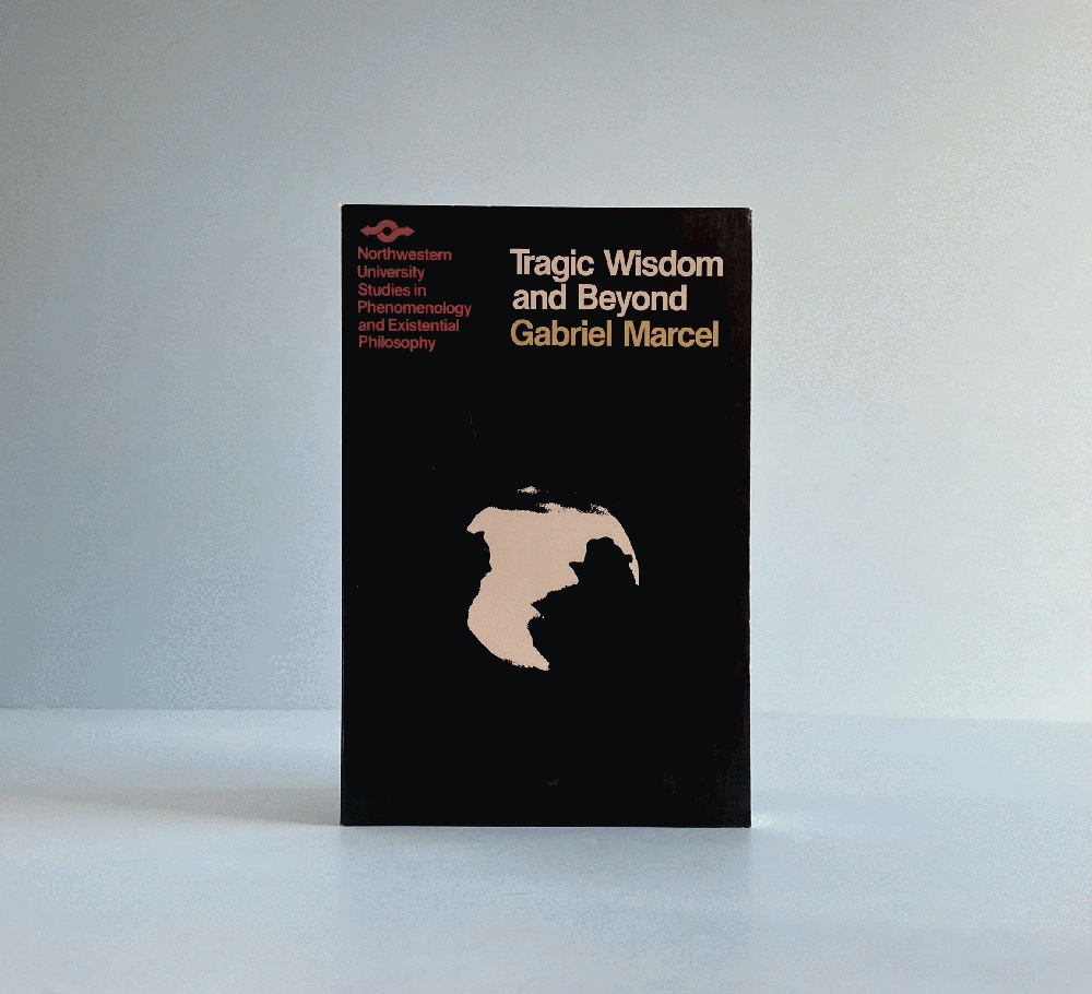 Tragic Wisdom and Beyond (Studies in Phenomenology and Existential Philosophy)