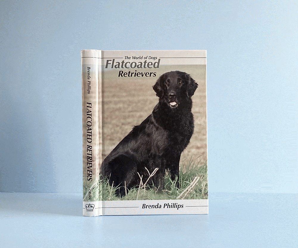 Flatcoated Retrievers: The World of Dogs