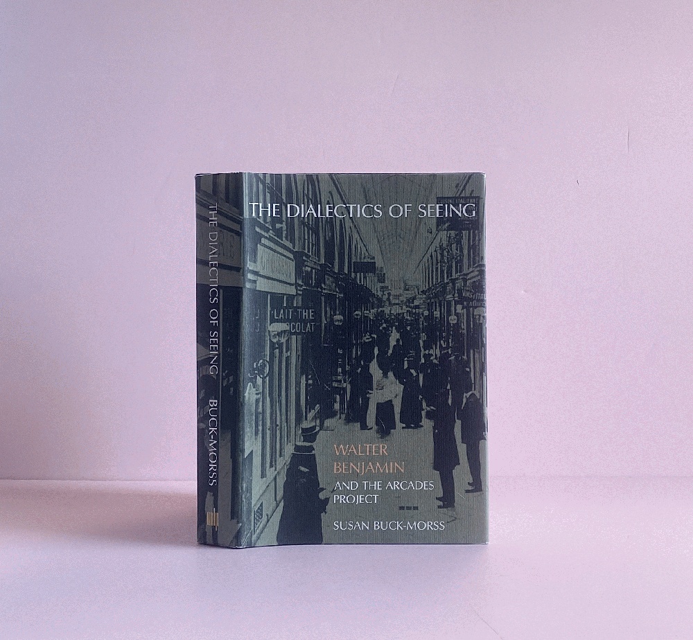 The Dialectics of Seeing: Walter Benjamin and the Arcades Project (Studies in Contemporary German Social Thought)