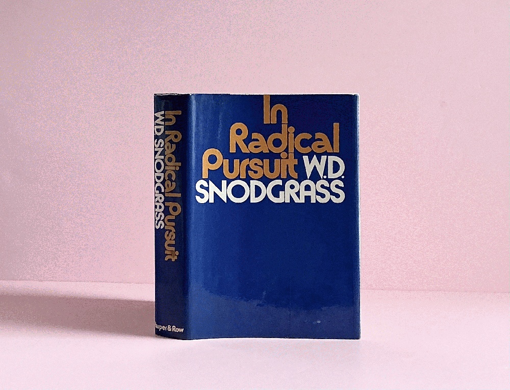 In Radical Pursuit: Critical Essays and Lectures