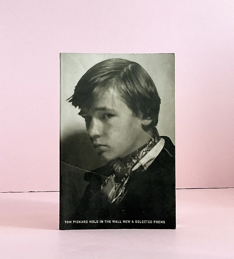 Hole in the Wall: New & Selected Poems