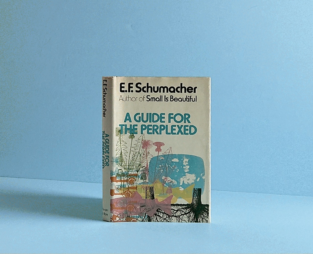 A Guide for the Perplexed