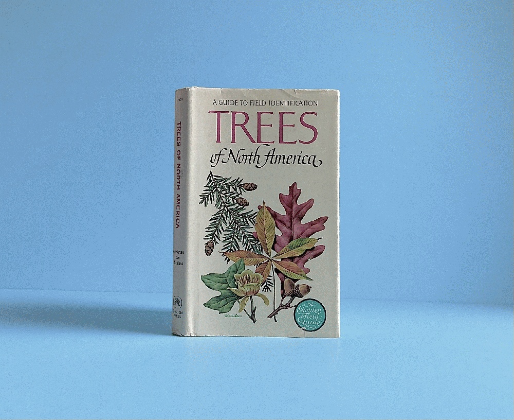Trees of North America: a Golden Guide to Field Identification. Illustrated By Rebecca Merrilees