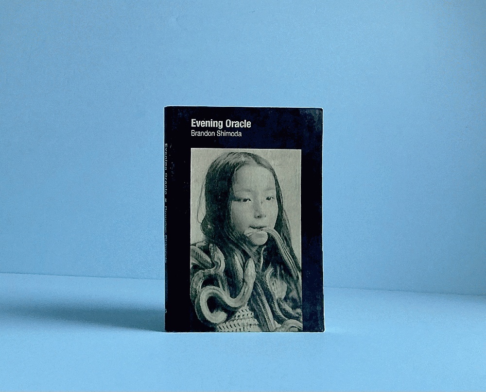 Image for Evening Oracle Evening Oracle