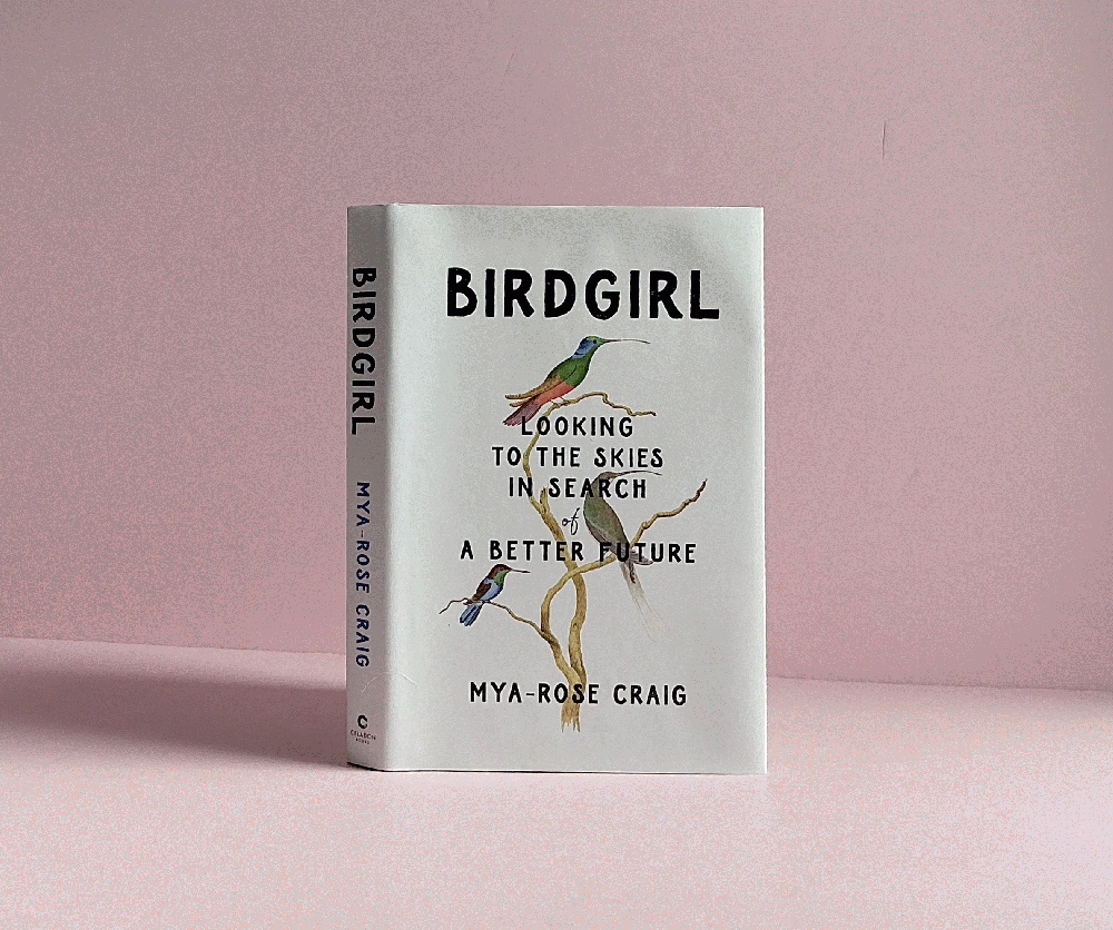 Birdgirl: Looking to the Skies in Search of a Better Future