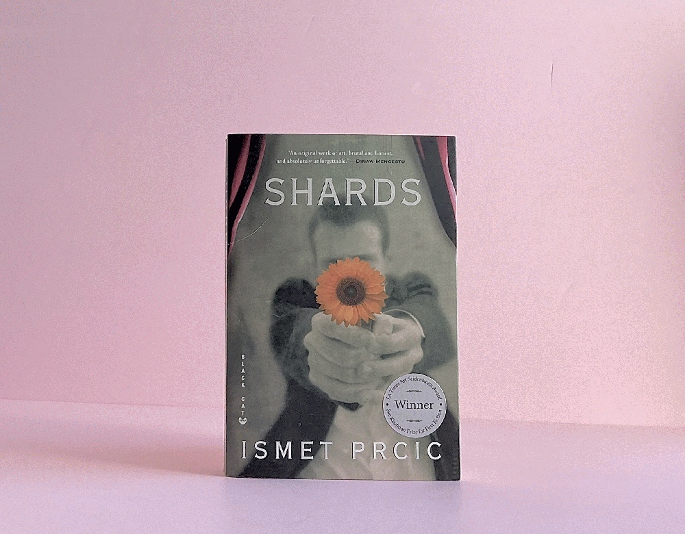 Shards: A Novel