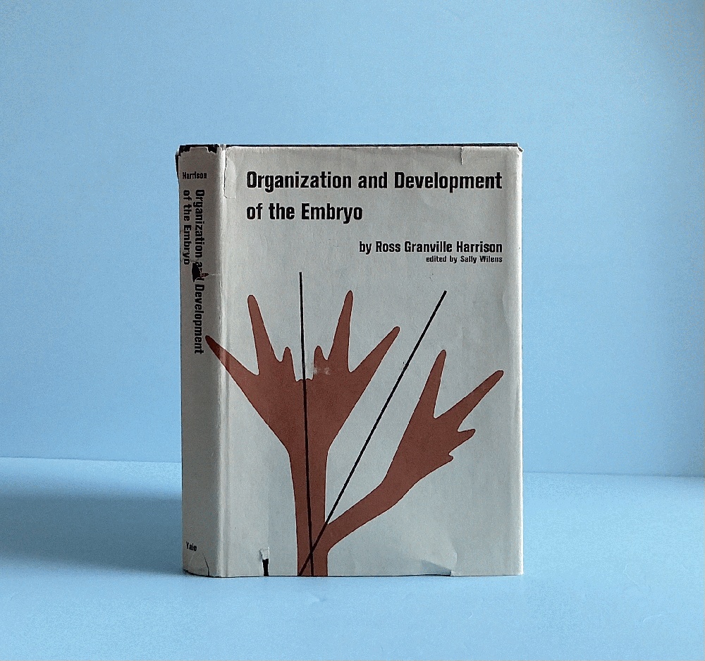 Organization and Development of the Embryo