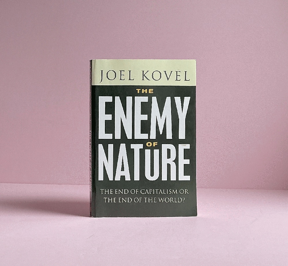 The Enemy of Nature: The End of Capitalism or the End of the World