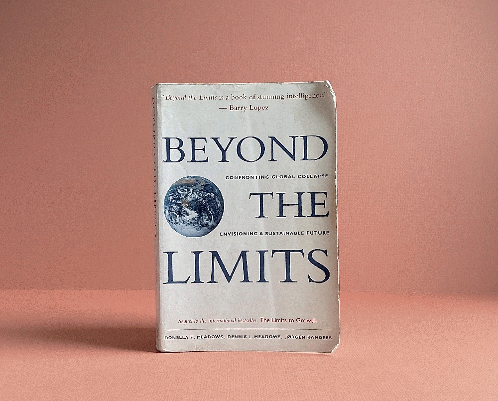 Beyond the Limits: Confronting Global Collapse, Envisioning a Sustainable Future
