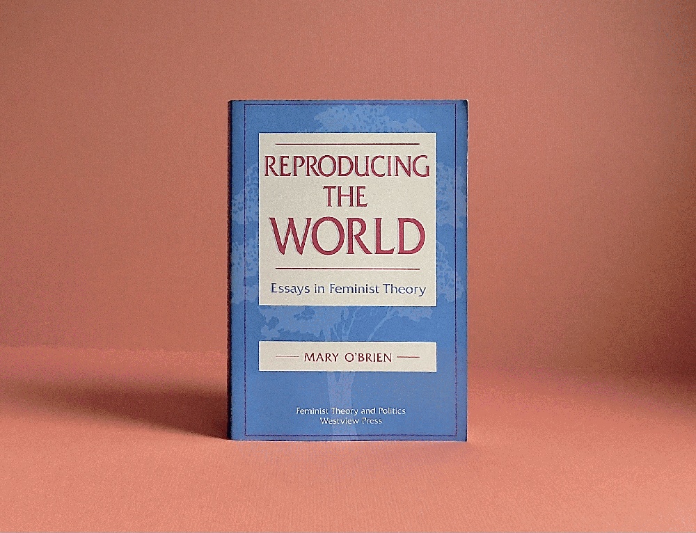 Reproducing The World: Essays In Feminist Theory (Feminist Theory and Politics Series)