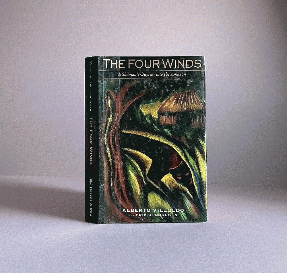 Image for The Four Winds: A Shaman's Odyssey into the Amazon The Four Winds: A Shaman's Odyssey into the Amazon