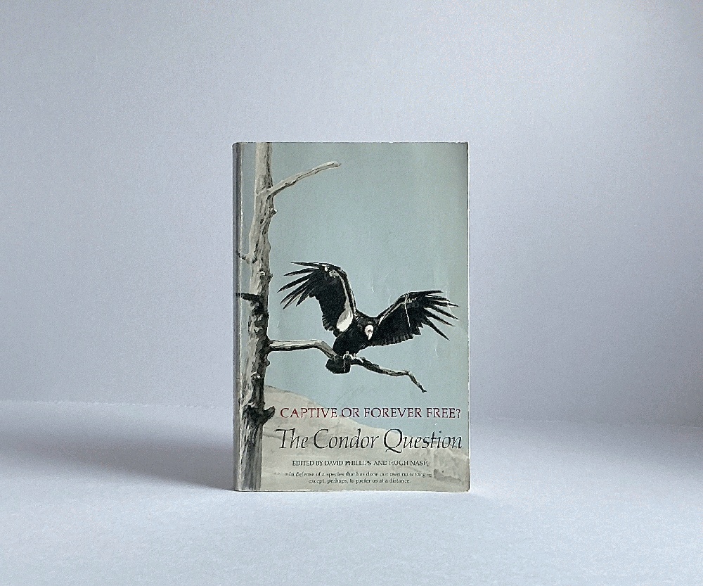 Condor Question: Captive or Forever Free