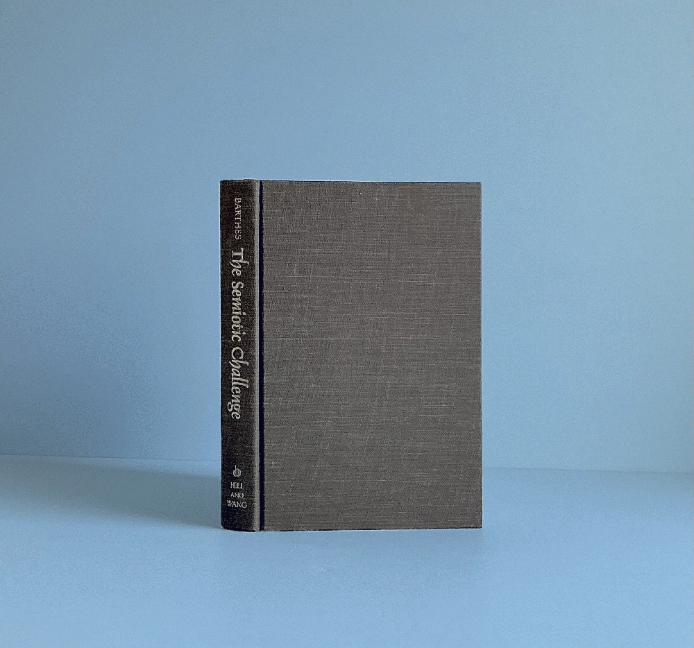 The Semiotic Challenge