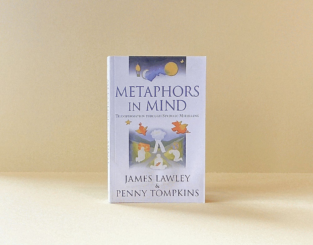 Metaphors in Mind: Transformation through Symbolic Modelling