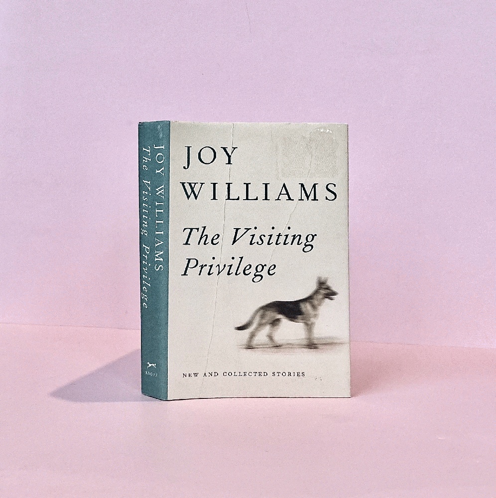 The Visiting Privilege: New and Collected Stories