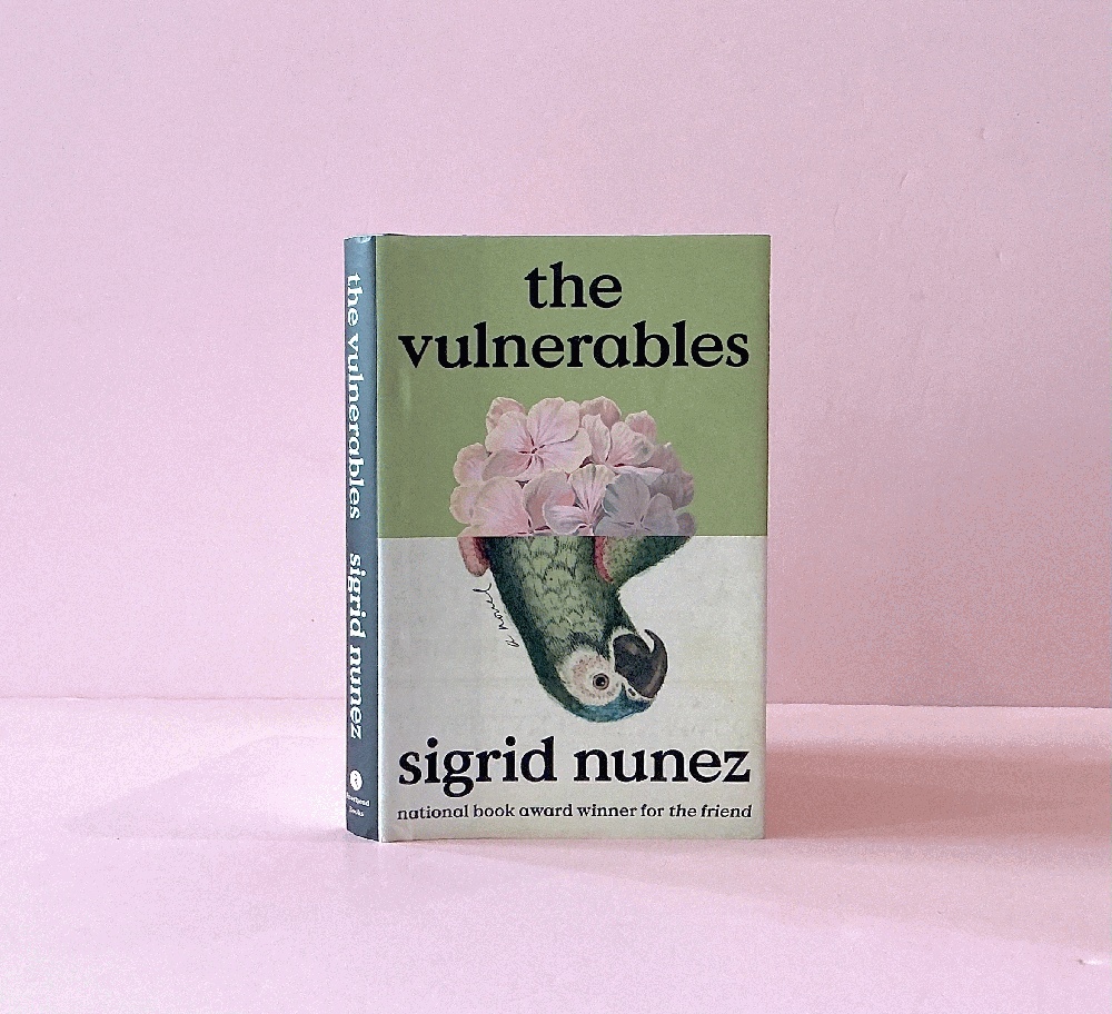 The Vulnerables: A Novel